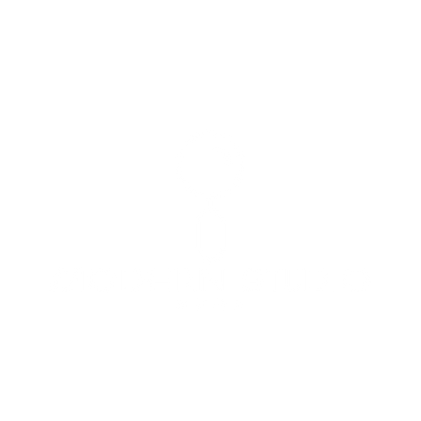 Modern Studio Shop